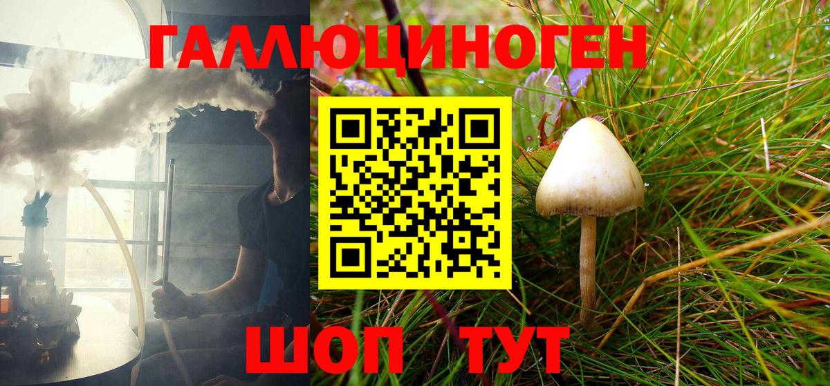 купить закладку  Псилоцибиновые грибы Magic Shrooms  Вход с VPN  Сургут  Псилоцибиновые грибы прущие грибы 